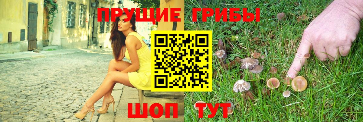 Псилоцибиновые грибы Psilocybine cubensis  Вход с VPN  Галлюциногенные грибы мухоморы  Челябинск 
